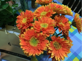 旅游公司名称和标语口号征集_一品威客网公司