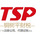 铜树平财税机构_注册公司_代理记账_广州首选 铜树平财税机构_注册公司_代理记账_广州首选