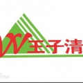 王子清网络科技有限公司 王子清网络科技有限公司