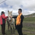 大力服务 大力服务
