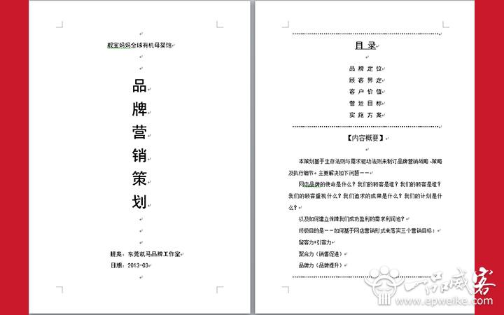网店运营策划案,网店运营策划案模板