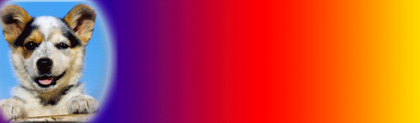 com/data/uploads/2015/04/15/1868125341552d5354084f2.gif