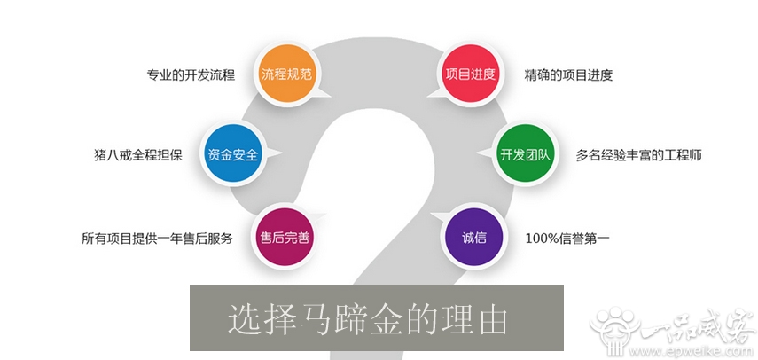 微信公众号(订阅号或服务号)_马蹄金网络科技