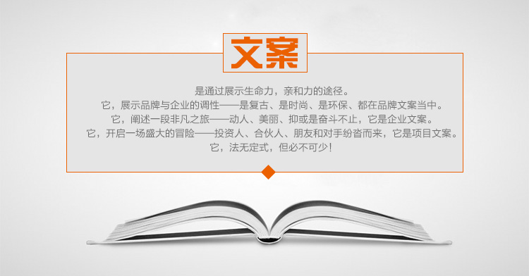 企业文案策划方案 专业策划书 文案代写融资报