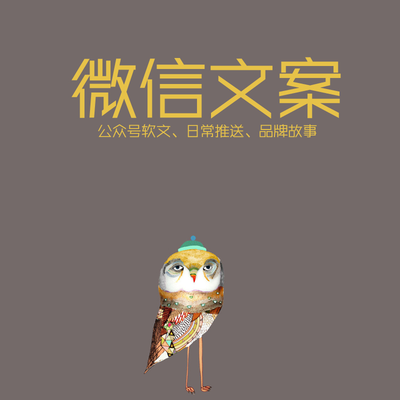 文章代写人物传记小说代写剧本微电影宣传片解