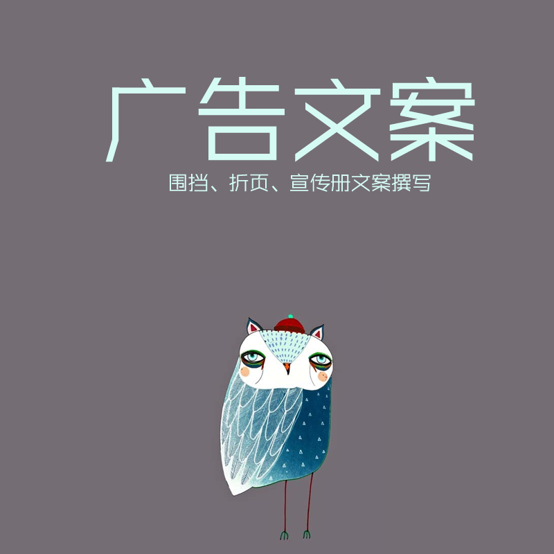 文章代写人物传记小说代写剧本微电影宣传片解