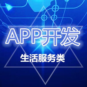 软件开发定制_软件开发外包价格