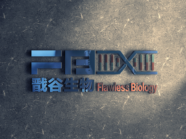跳脱原来的舒适圈,独立创业给了他不一样的生命体验