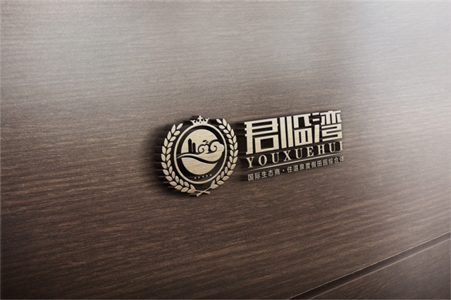 在一品威客网收获创意LOGO 温泉项目打下品牌基础