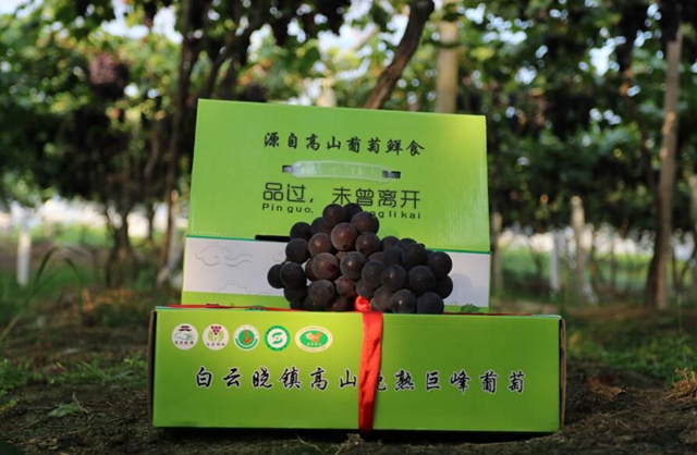 为了打开乡村特色小镇知名度 他们多次与一品威客网合作