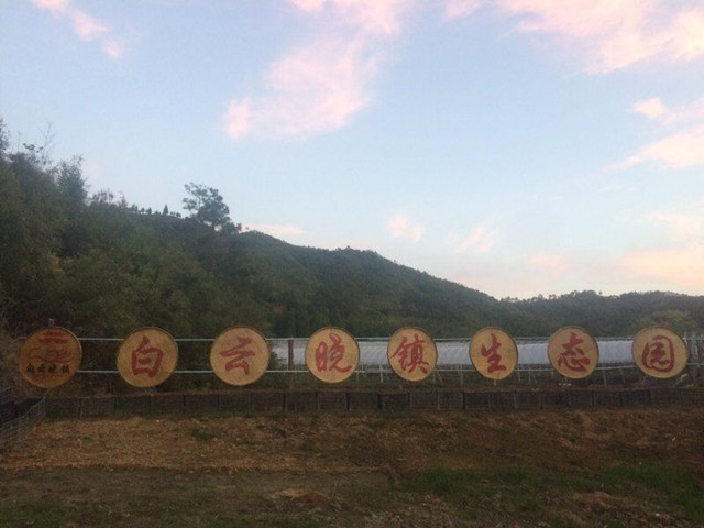 为了打开乡村特色小镇知名度 他们多次与一品威客网合作