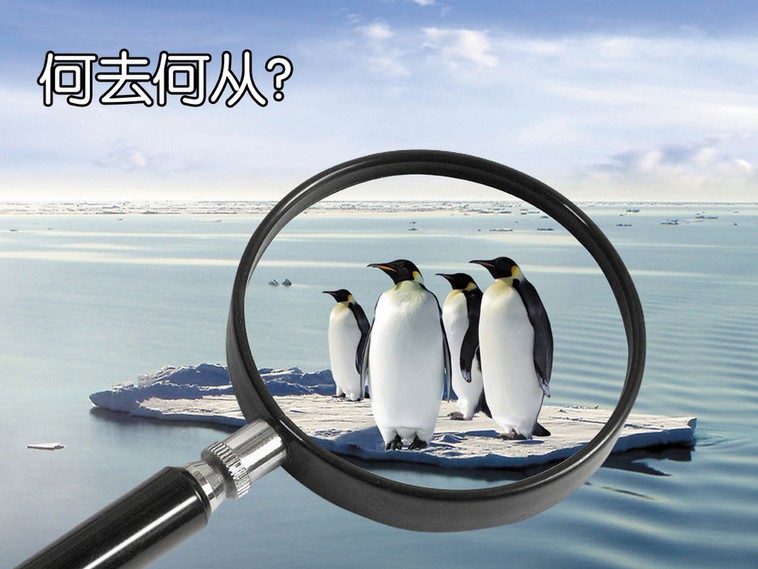 2019最新的创意公益广告语大全