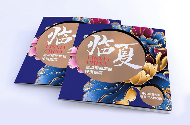 创办青鹿设计打造工作平台 她致力用设计成就企业品牌
