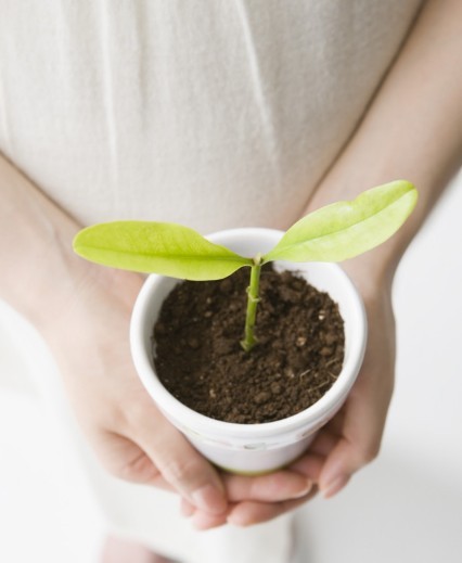 保护环境的广告语