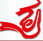 金聚龙设计团队