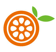 金橙科技
