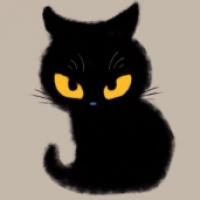 黑猫科技有限公司