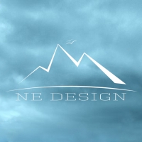 NE设计