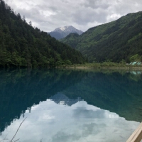 资深软件开发 10年+开发经验