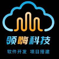 领嗨软件开发