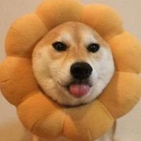 云哈游网络科技