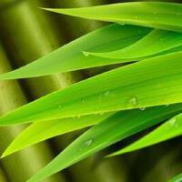 沈阳源睿科技有限公司