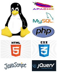 企业网站建设（不含设计）