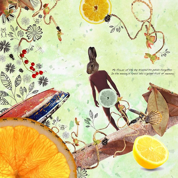 【夏】the four seasons-Summer