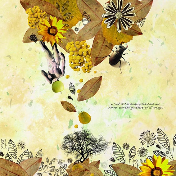 【秋】the four seasons-autumn