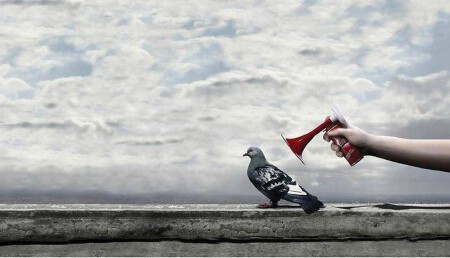 完美人生  精彩生活