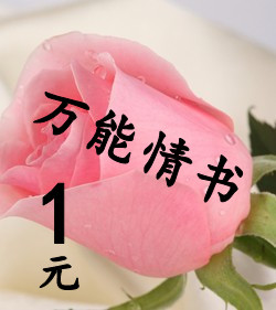 万能情书 一元拍卖 表白送女朋友圣诞礼物