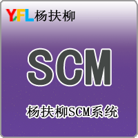 杨扶柳SCM供应链管理