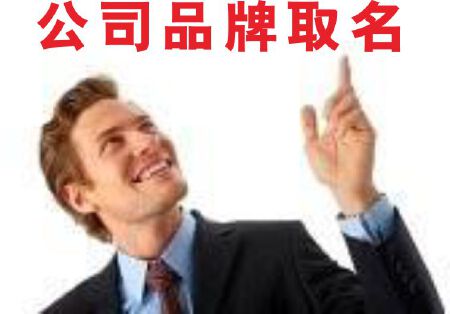 公司品牌起名500-10000/件