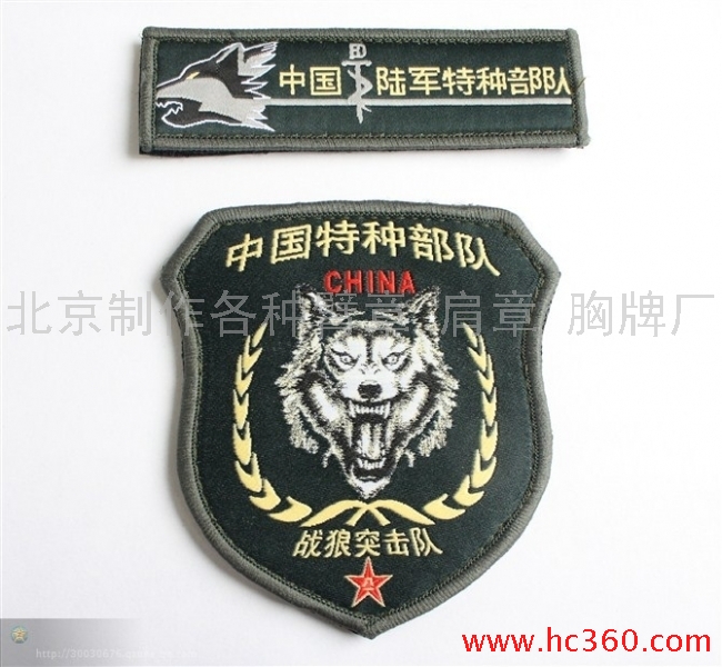 某公司臂章logo设计