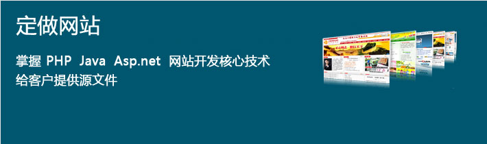 展示型网站源码开发