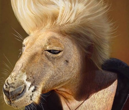 人形袋鼠数码照片处理合成教程