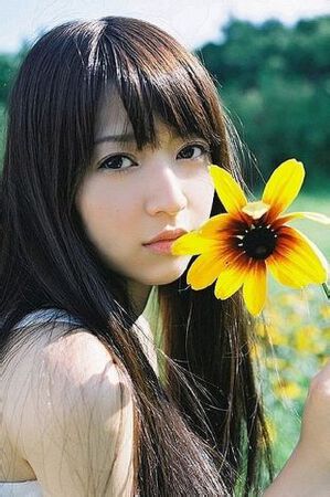 新闻稿写作，软文写作