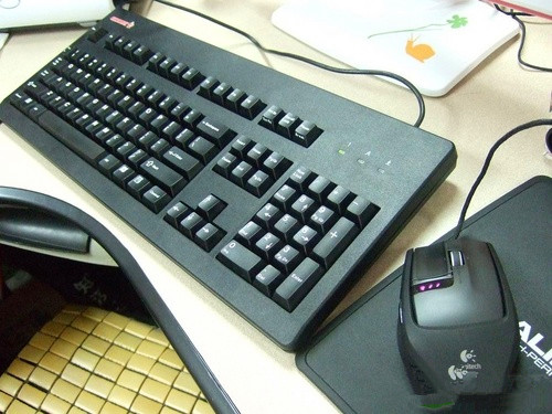 编辑校队