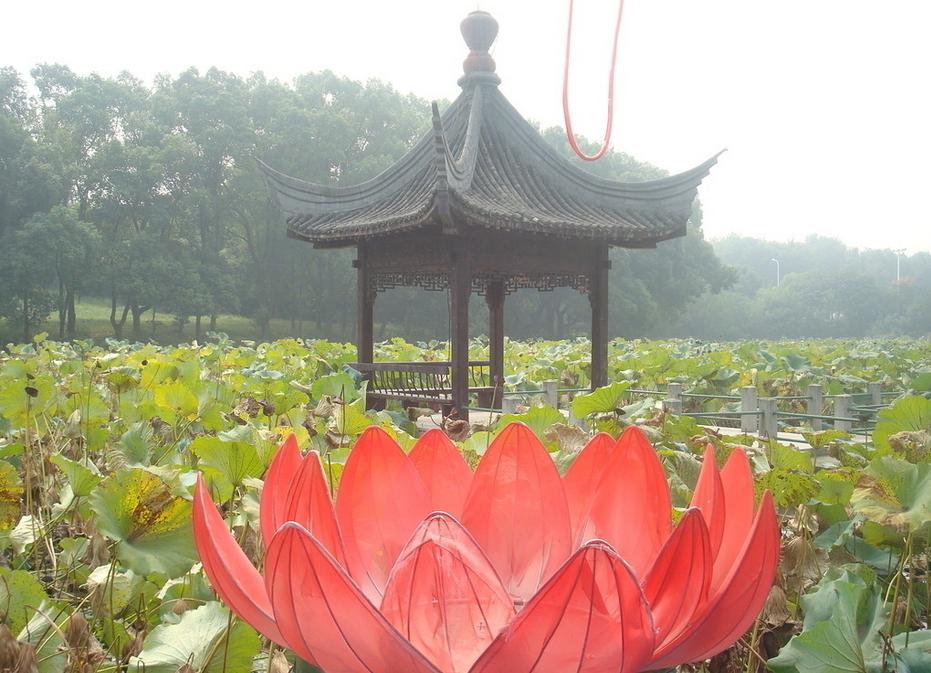 大学园林景观设计应该如何规划  如何设计大学园林景观
