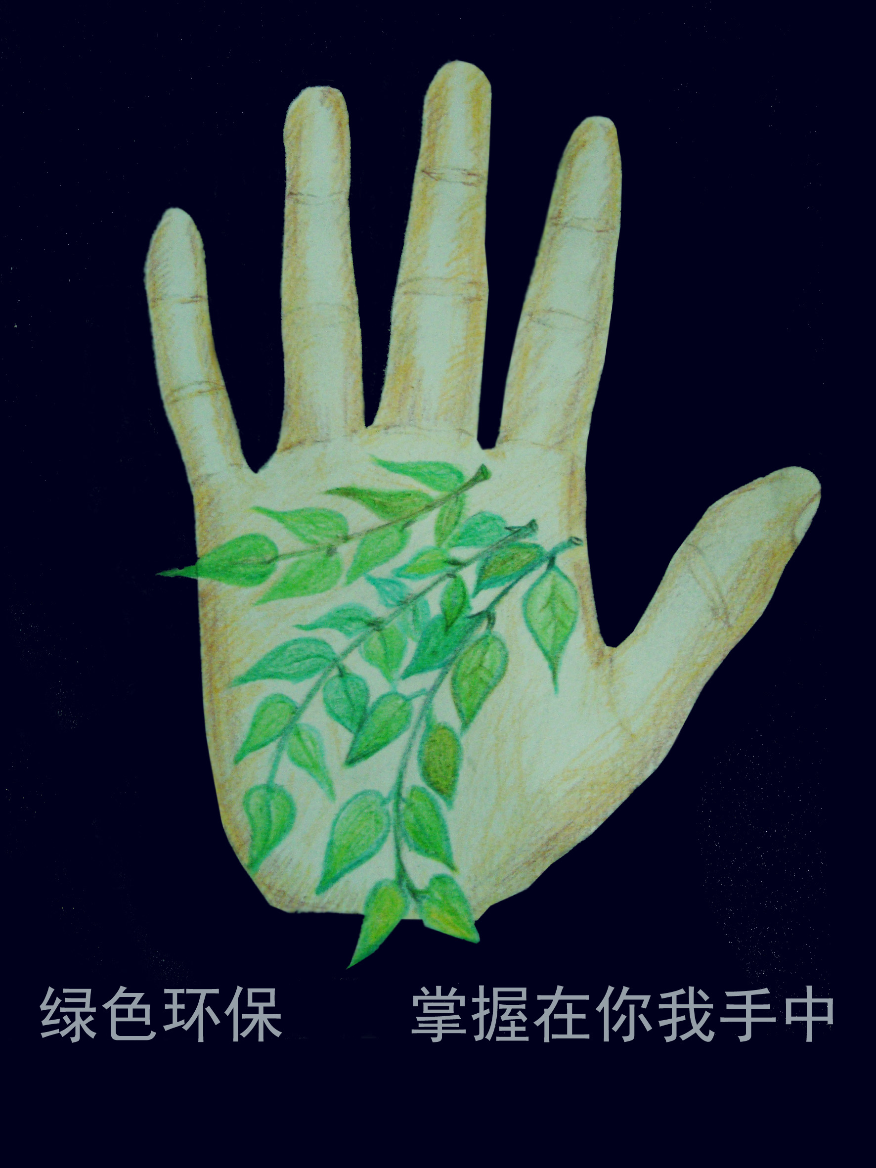 广告创意征集