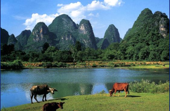 旅游门户网站模板设计事项