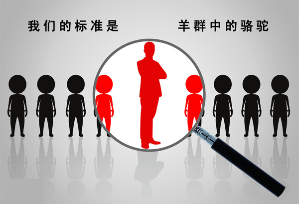 团购网站系统建设人才建设