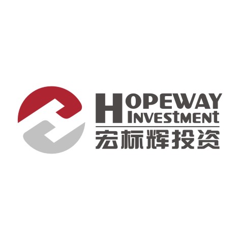 宏标辉投资