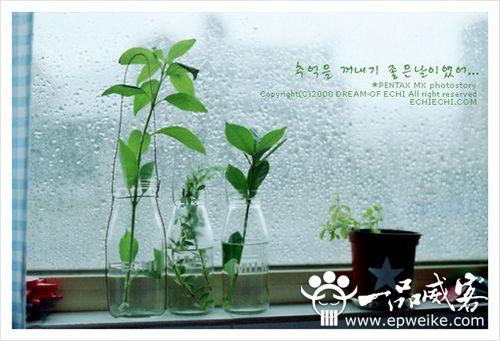 网站推广优化如何更新内容