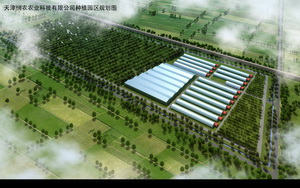 温室大棚效果图