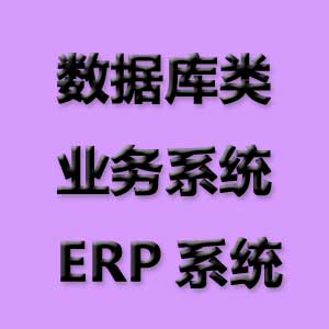 数据库类的业务系统,ERP系统开发