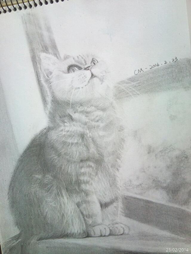 素描小猫