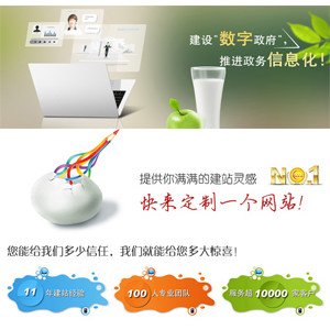 定制电子政务门户