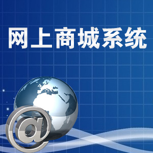 网上商城系统建设