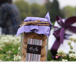 伊莉维尔烘焙 · 主题餐厅网上商城/一左科技网站建设案例